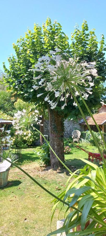 Villa Hortensia Bagnères-de-Bigorre Kültér fotó
